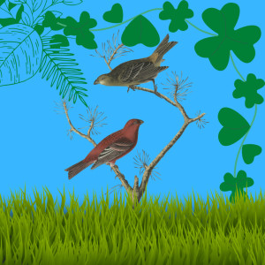 收聽Severinus Journey的Suara Burung Ciblek Kristal歌詞歌曲