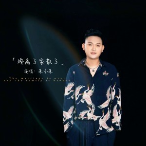 Album 婚离了家散了 from 阿巧