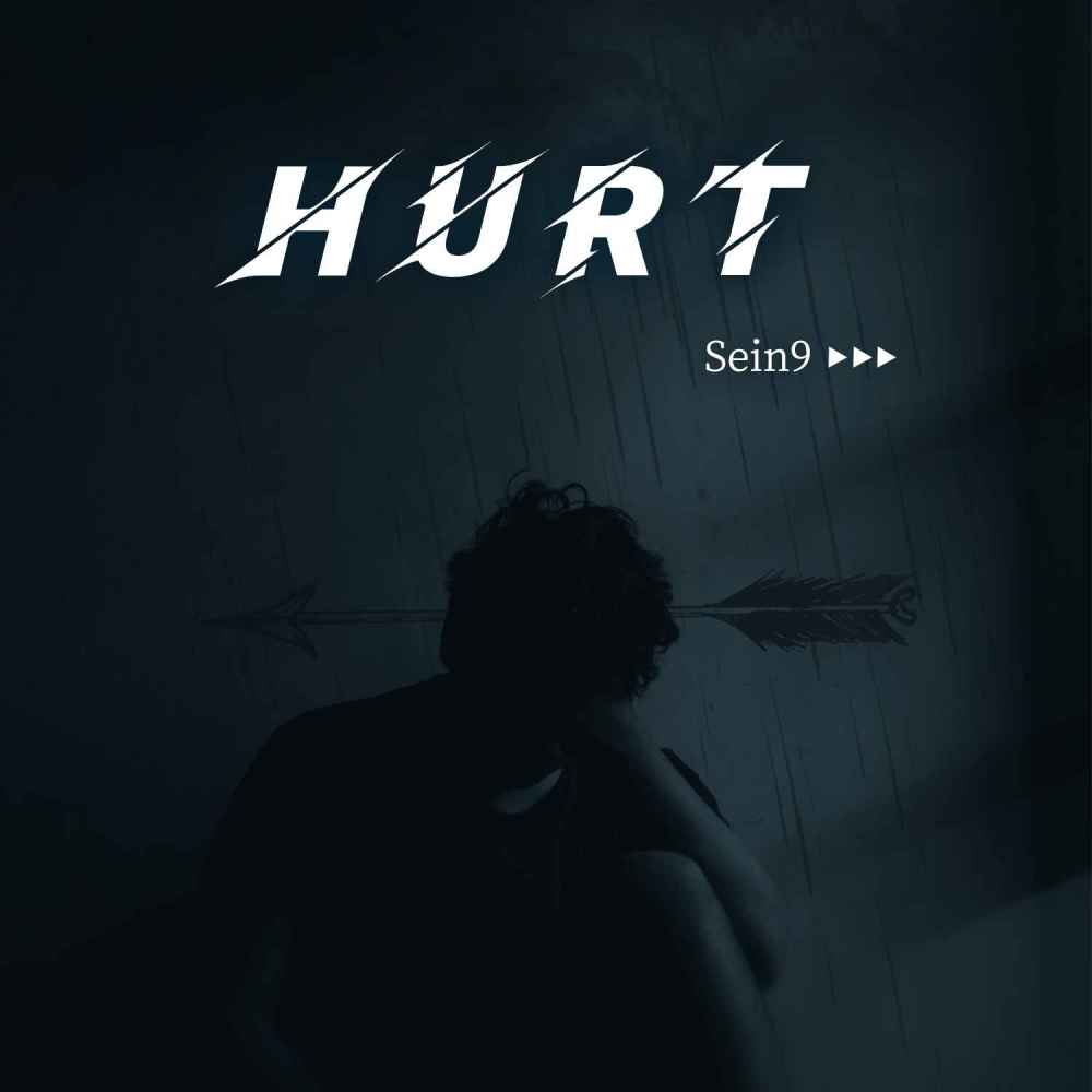 Hurt (Sein9变速变调版)