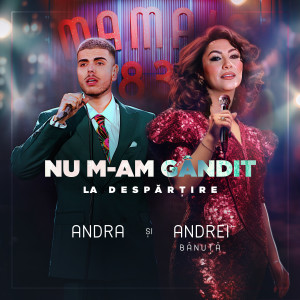 Andra的专辑Nu m-am gandit la despartire