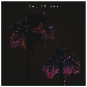 ดาวน์โหลดและฟังเพลง All You Wanna Do Wit' Me พร้อมเนื้อเพลงจาก Calico Jay