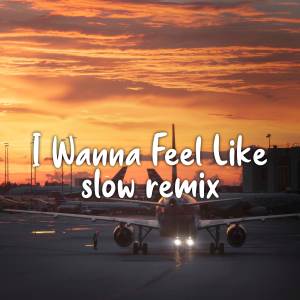 DWIPA NATION的專輯DJ I Wanna Feel Like - Slow Remix