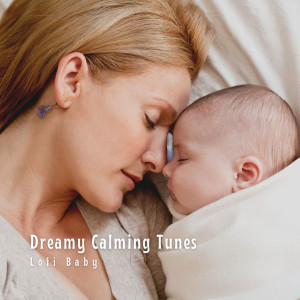 Album Dreamy Calming Tunes: Lofi Baby oleh Lullaby Baby Trio