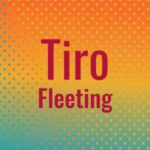 Various Artists的專輯Tiro Fleeting