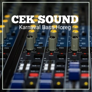 Dengarkan Cek Sound (Karnaval Bass Horeg) lagu dari DJC TV dengan lirik