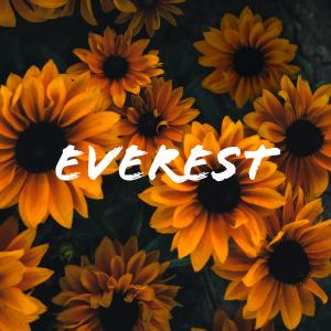 Everest dari Evren Uysal