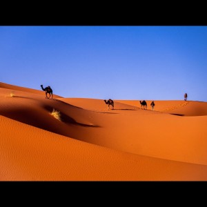 Listen to Proud of You song with lyrics from Spa Music Relaxation