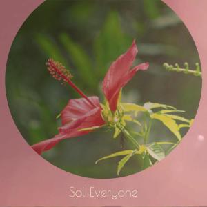 Listen to Track Gone song with lyrics from Damiana Hasna