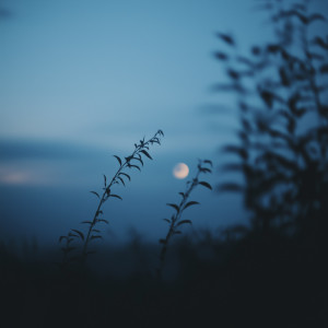 ดาวน์โหลดและฟังเพลง lull me to sleep พร้อมเนื้อเพลงจาก After Hours