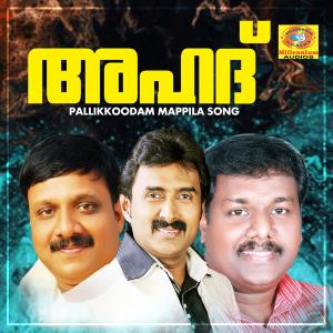 Listen to Hovallady song with lyrics from O.U.Basheer