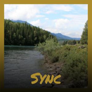Listen to Summery Nox song with lyrics from Maey Okko