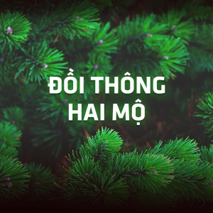 收聽Phương Anh的Mưa Chiều Miền Trung歌詞歌曲