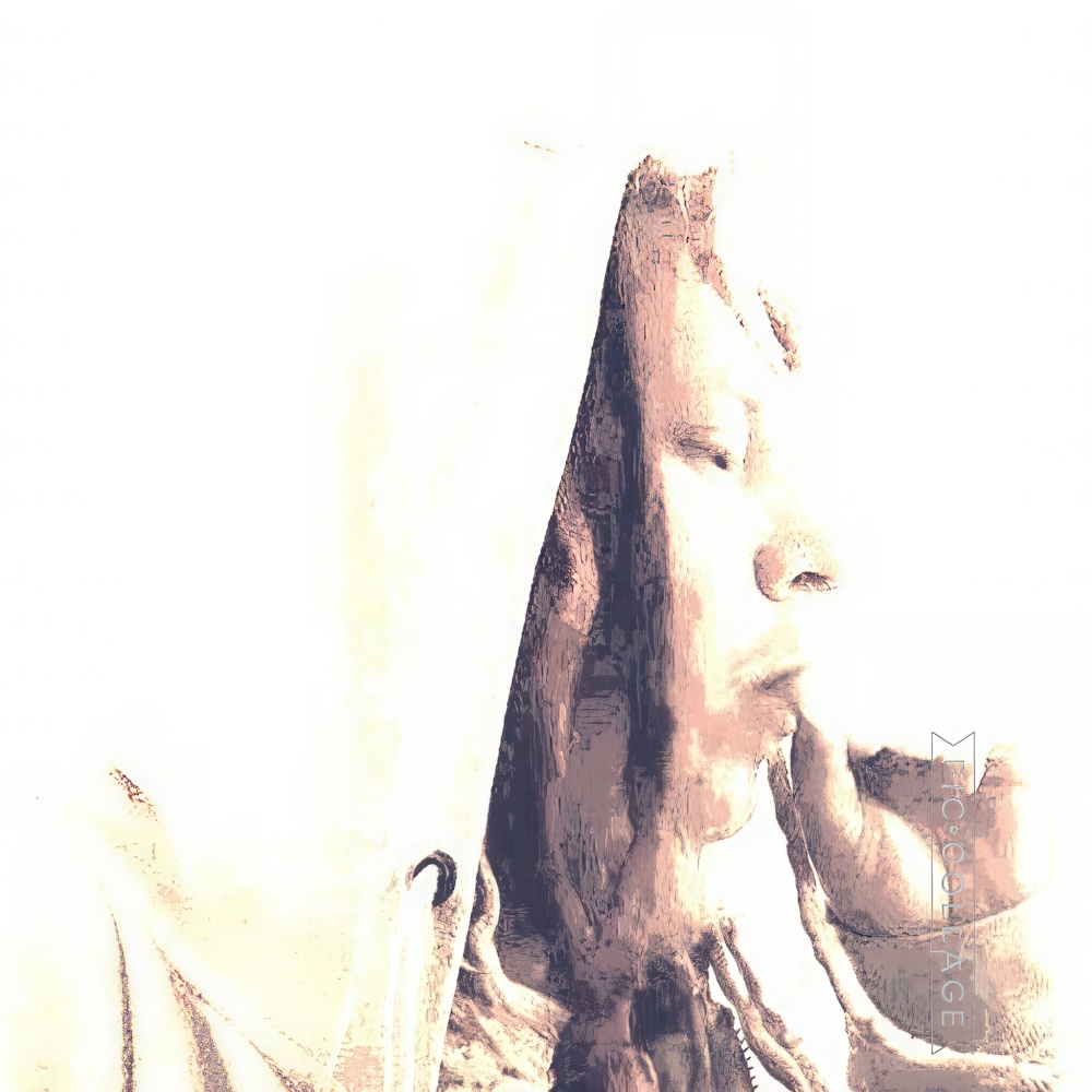 Nameless