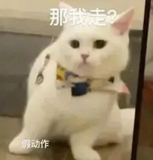 顾司懿