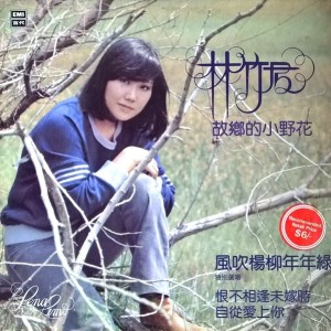 收聽林竹君的自從愛上你歌詞歌曲