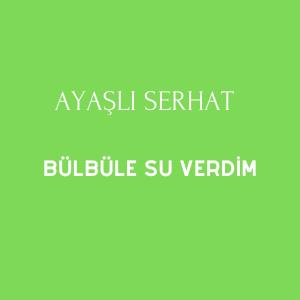 Listen to Bülbüle Su Verdim song with lyrics from Ayaşlı Serhat