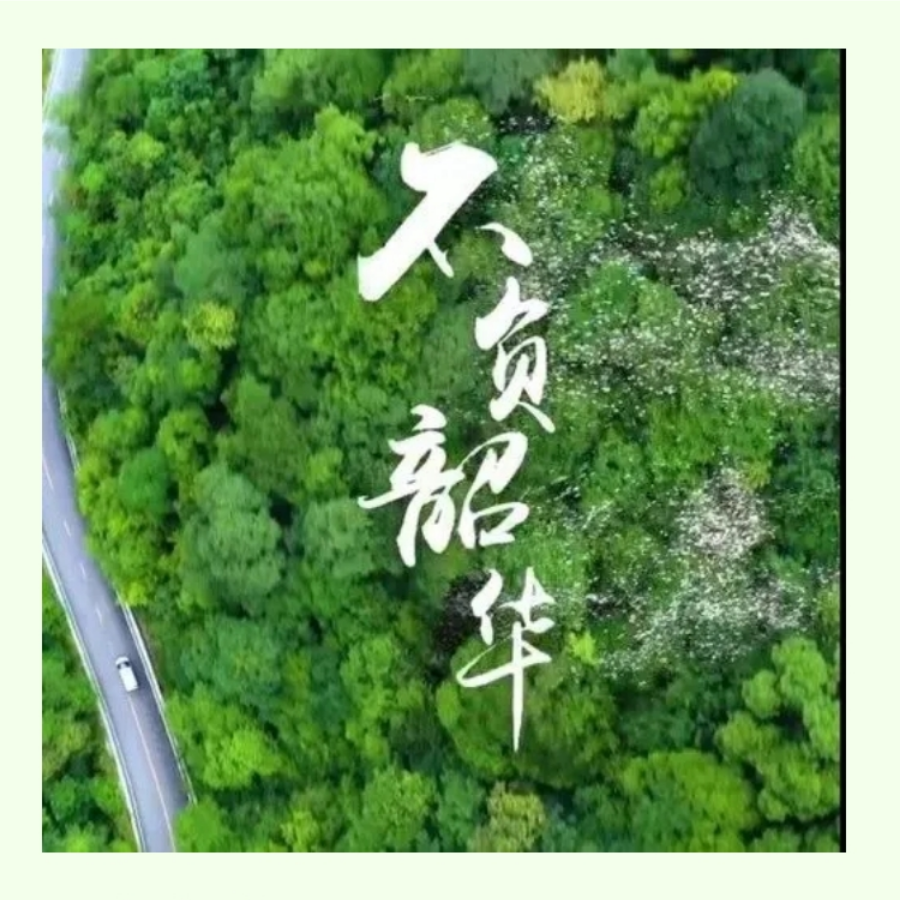 杜盘恩