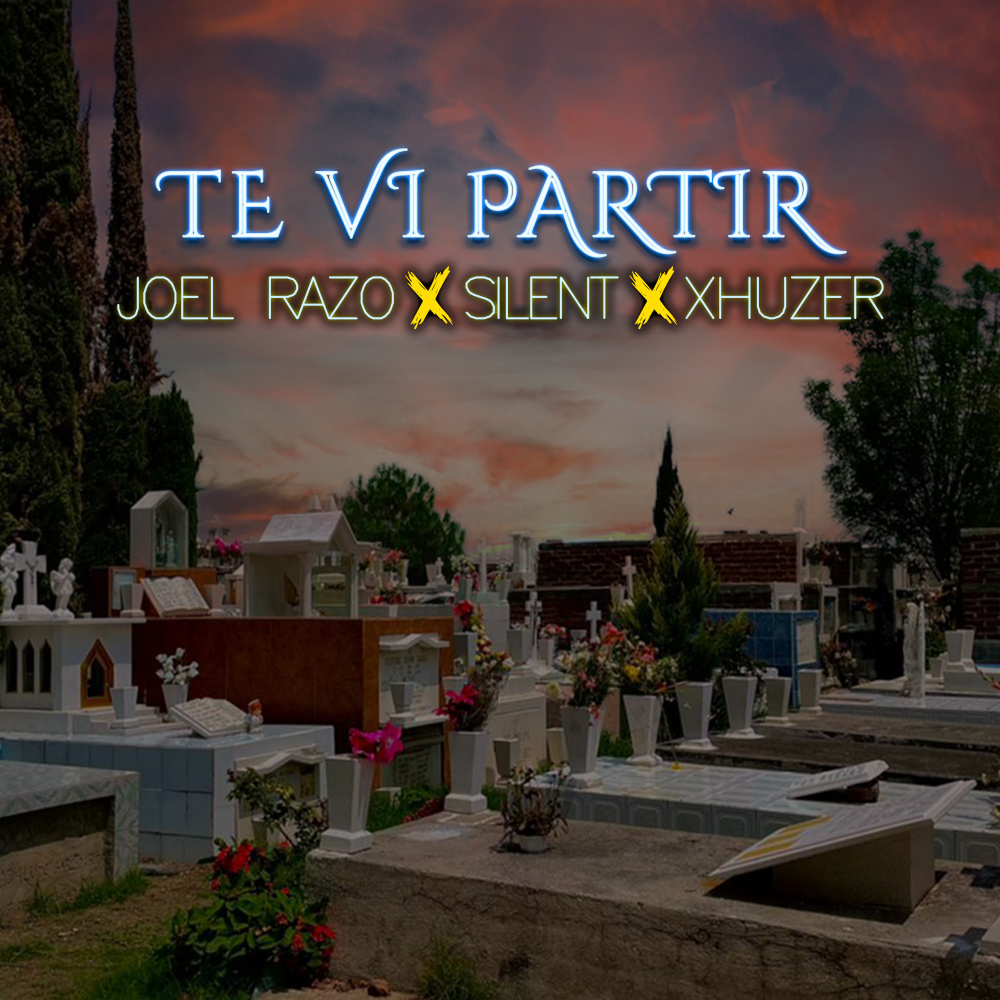 Te Vi Partir