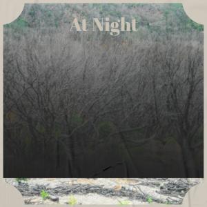 Album At Night from Various