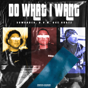Album Do What I Want (Explicit) from 