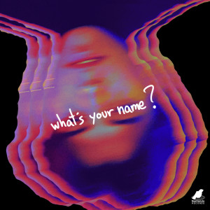 Album What's Your Name? (Explicit) from 