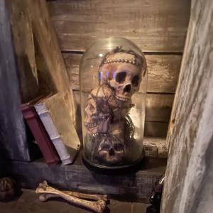 收聽Sqeffy的Moving On歌詞歌曲