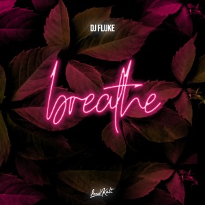 收聽DJ Fluke的Breathe歌詞歌曲