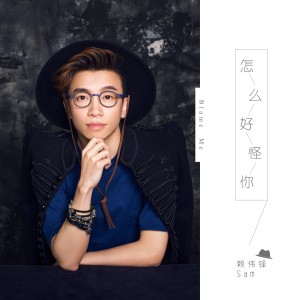 收聽賴偉鋒的怎麼好怪你歌詞歌曲