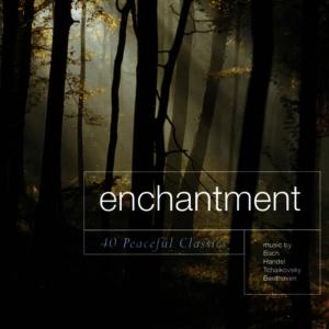 ดาวน์โหลดและฟังเพลง Adagio From Sonata Pathetique พร้อมเนื้อเพลงจาก Crimson Ensemble
