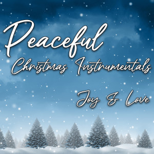Album Peaceful Christmas Instrumentals (Joy & Love) oleh Various Artists