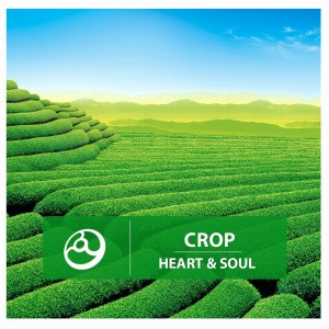 收聽Crop的Beautifull Soul歌詞歌曲
