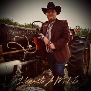收聽Kevin Ortiz的Llegaste A Mi Vida歌詞歌曲