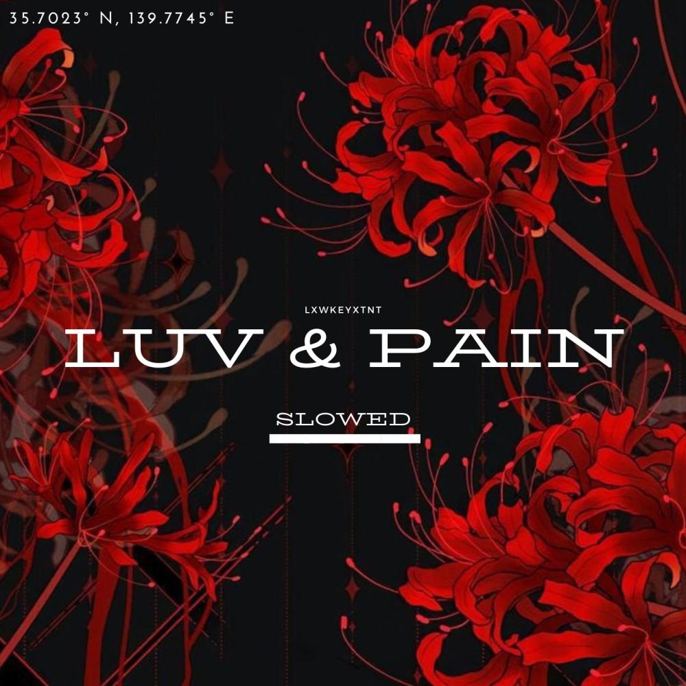 Luv & Pain(SLOWED)