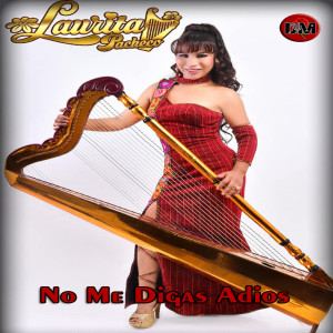 ดาวน์โหลดและฟังเพลง No Me Digas Adiós (En Vivo) พร้อมเนื้อเพลงจาก Laurita Pacheco