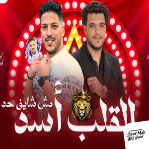 Listen to القلب اسد song with lyrics from Adel Sanwa