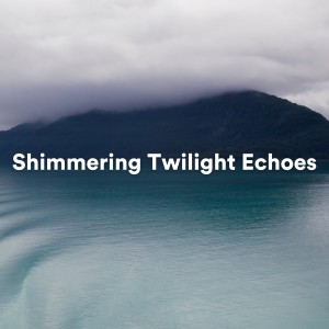 Album Shimmering Twilight Echoes from Reiki Healing Unit