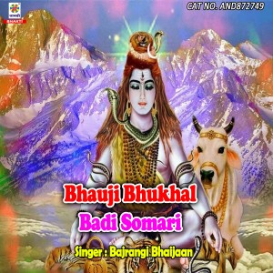 Listen to Aanganbadi Wali Bhauji Bhukha; Badi Somari song with lyrics from bajrangi bhaijaan