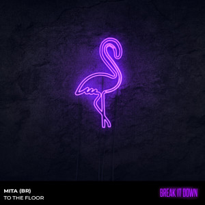 Listen to To The Floor song with lyrics from MITA (BR)