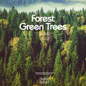 Listen to Relaxing Forest Sounds song with lyrics from 힐링 네이쳐 Nature Sound Band