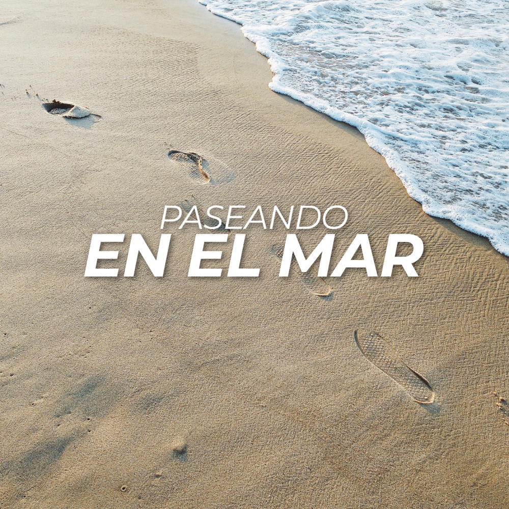 Tú Sin Mi