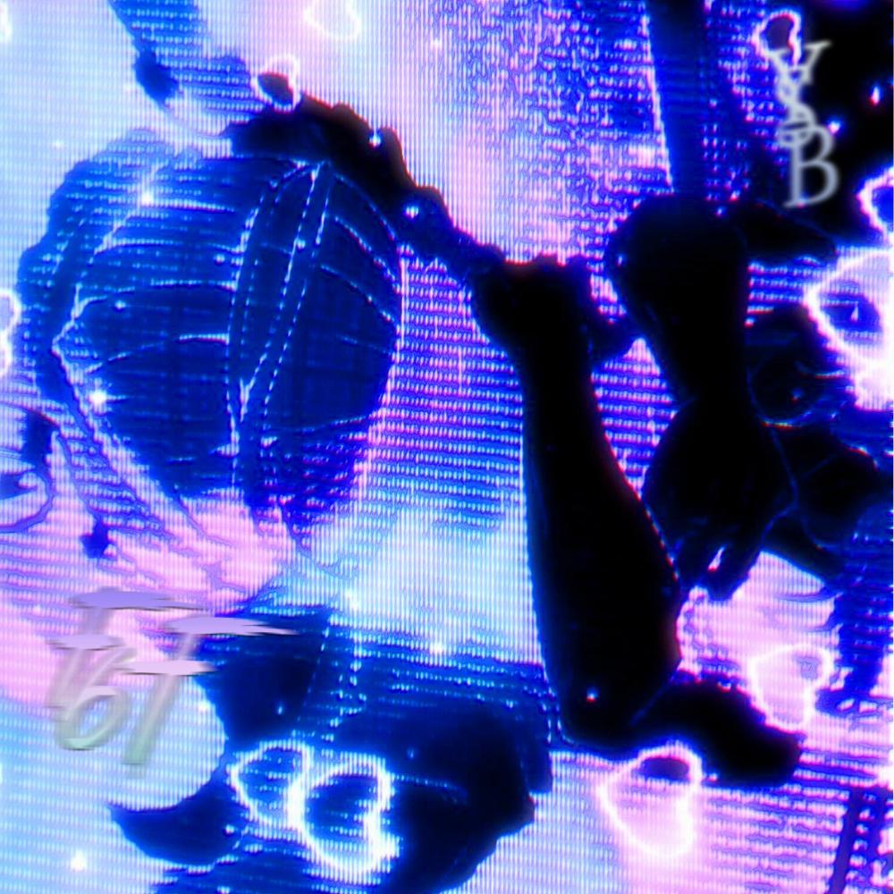 focus ((sped up))