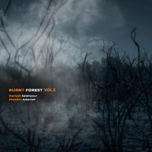 Listen to Burnt Forest, Vol. 2 (feat. Zhoobin Askarieh) song with lyrics from Dariush Salehpour