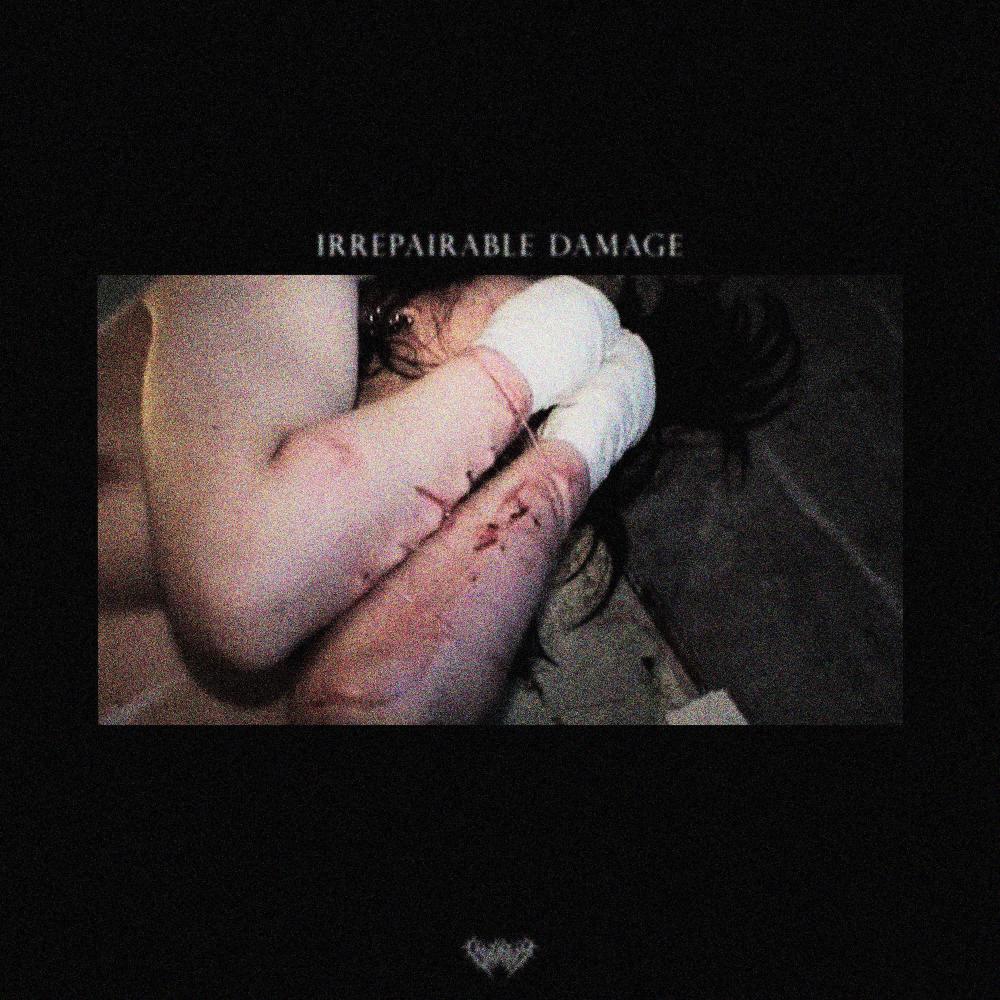 KILL EVERYBODY (feat. FXCKJAMiE) (Explicit)