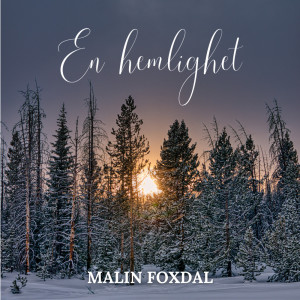 Malin Foxdal的專輯En hemlighet