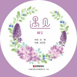收聽林寶的遇見歌詞歌曲