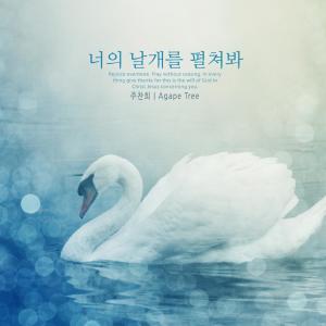 Listen to Unfold your wings. song with lyrics from Joo Chanhui