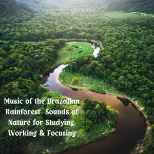 Music of the Brazilian Rainforest- Sounds of Nature for Studying, Working & Focusing dari Natural Sounds