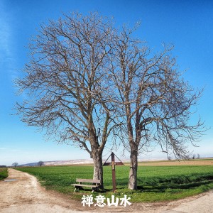 default album img