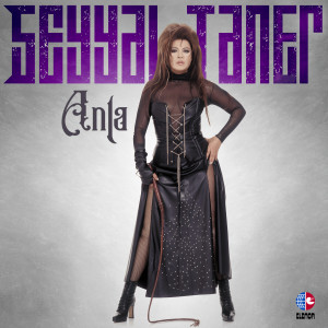 Album Anla from Seyyal Taner
