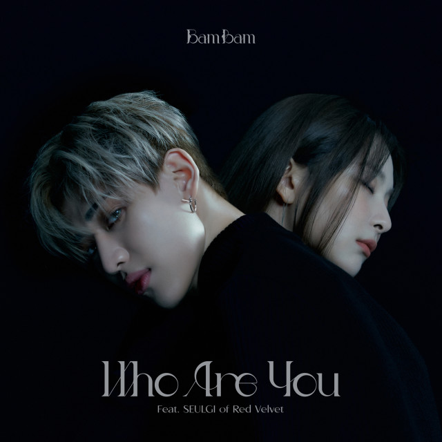 收听뱀뱀的Who Are You (Feat. 슬기 of Red Velvet)歌词歌曲